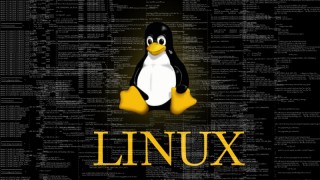 Лучшие приложения для программистов на Linux