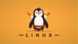 Обзор лучших браузеров для Linux