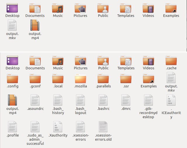 show hidden files ubuntu file explorer