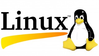 Как установить Linux на компьютер, не удаляя Windows