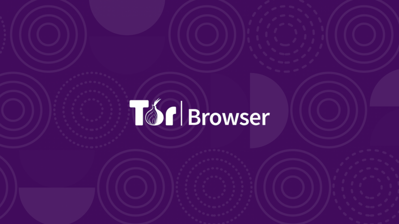 Скрывает ли tor browser от провайдера тор браузер на мак ос попасть на гидру